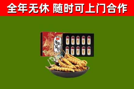 赤壁市烟酒回收冬虫夏草礼盒.jpg